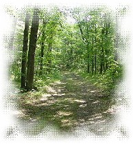 Nature Trail